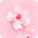 7788影院手机版下载安装