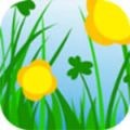 金风直播app下载入口