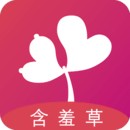 最美情侣2019全集免费观看最新版