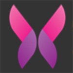 爱威奶avnight安装包免费下载