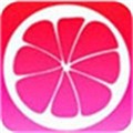 桃花tv直播app下载大全