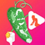糟老头旧版本apk免费下载