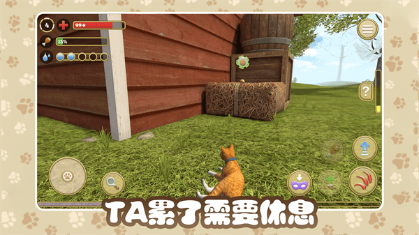 猫咪农场1