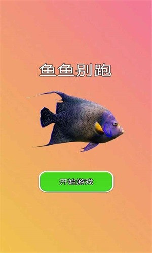 鱼鱼别跑2